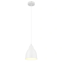 Подвесной светильник Arte Lamp BRACCIO A2054SP-1WH
