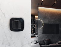 Рамка OMEGA Coint (Черный Стекло органическое/Сталь) 3-ая (Ambrella Volt, OF640533)